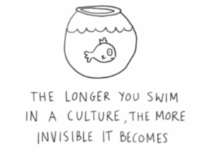 The longer you swim in a culture, the more invisible it becomes