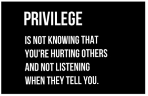 Definition of Privilege